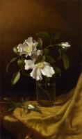 Heade, Martin Johnson - Cherokee Roses in a Glass on Gold Velvet Plush